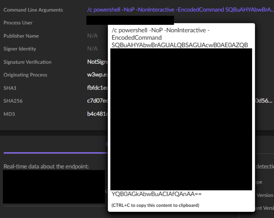 Telemetry showing the IIS worker process spawning PowerShell and issuing an external DNS callback